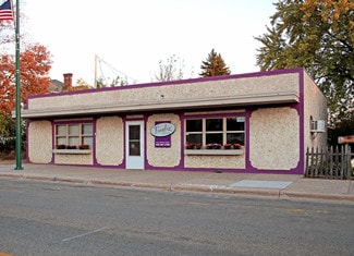 Plus de détails pour 110 Main St E, Young America, MN - Commerce de détail à vendre