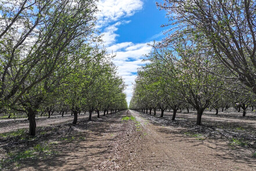 Cerini Avenue, Cantua Creek, CA for sale - Building Photo - Image 3 of 12
