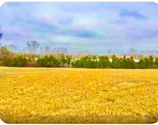 More details for 0 N Old Mount Juliet Rd, Mount Juliet, TN - Land for Sale