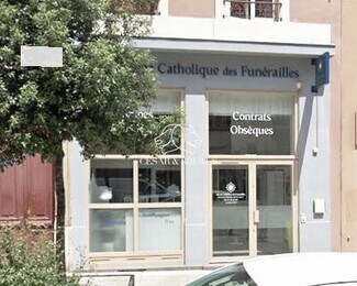 Plus de détails pour 63 Cours Emile Zola, Villeurbanne - Commerce de détail à louer