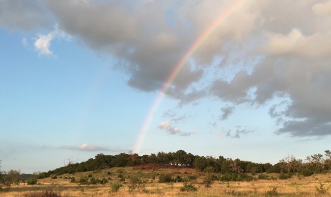 More details for 518 County Road 1403, Lometa, TX - Retail for Sale