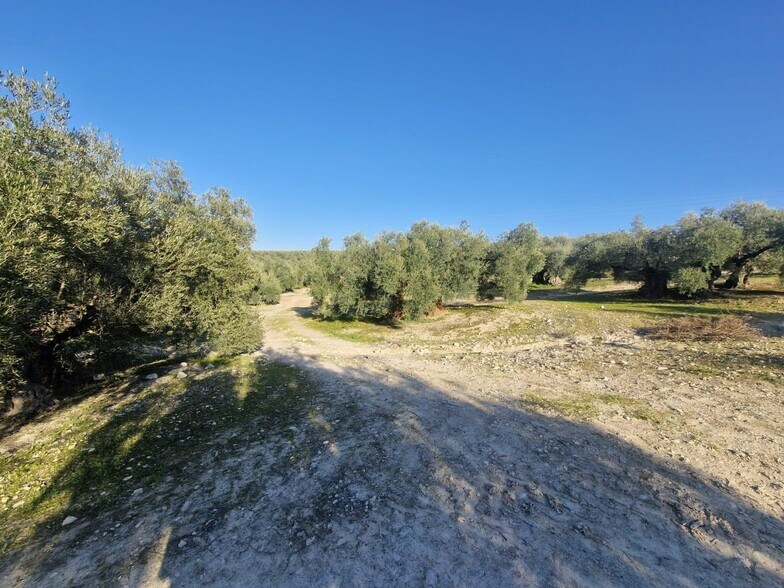 Polígono Ua-10, Parcela 164, Montilla, Córdoba à vendre - Photo principale - Image 1 de 15