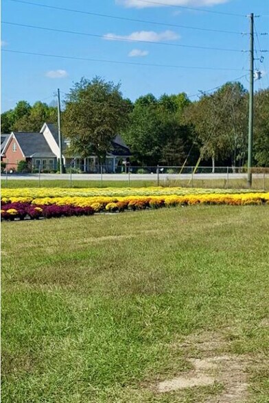 32544 SC-9, Pageland, SC à vendre - Photo du bâtiment - Image 3 de 7