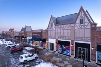 Plus de détails pour 100 W Higgins Rd, South Barrington, IL - Commerce de détail à louer