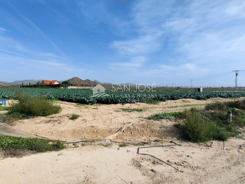 Terrain dans Monforte del Cid, Alicante à vendre - Aérien - Image 3 de 6