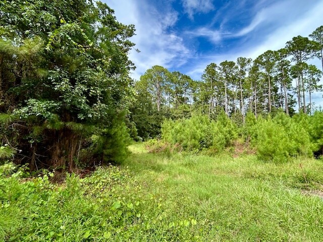 97124 Elk Creek ct, Fernandina Beach, FL à vendre - Photo du bâtiment - Image 2 de 15