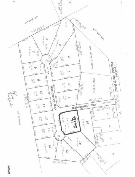 Puckett Ferry Rd, Cross Hill, SC for sale - Site Plan - Image 2 of 2