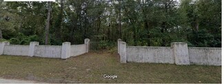 Plus de détails pour 1513 Piermaj Ln, Lutz, FL - Terrain à vendre