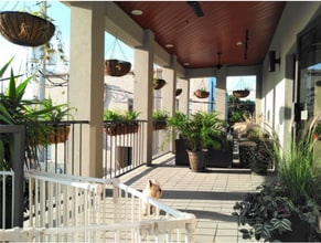 1 Scenic Central, Lake Wales, FL à louer Photo du bâtiment- Image 1 de 1