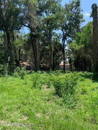 Plus de détails pour 0 Milwaukee Ave, Orange Park, FL - Terrain à vendre