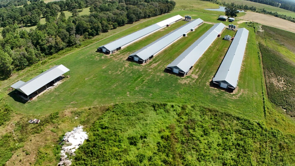 594 Daffodil Ln, Pitts, GA à vendre - Aérien - Image 2 de 25