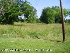 320 County Road 69, Winfield, AL à vendre Photo principale- Image 1 de 1