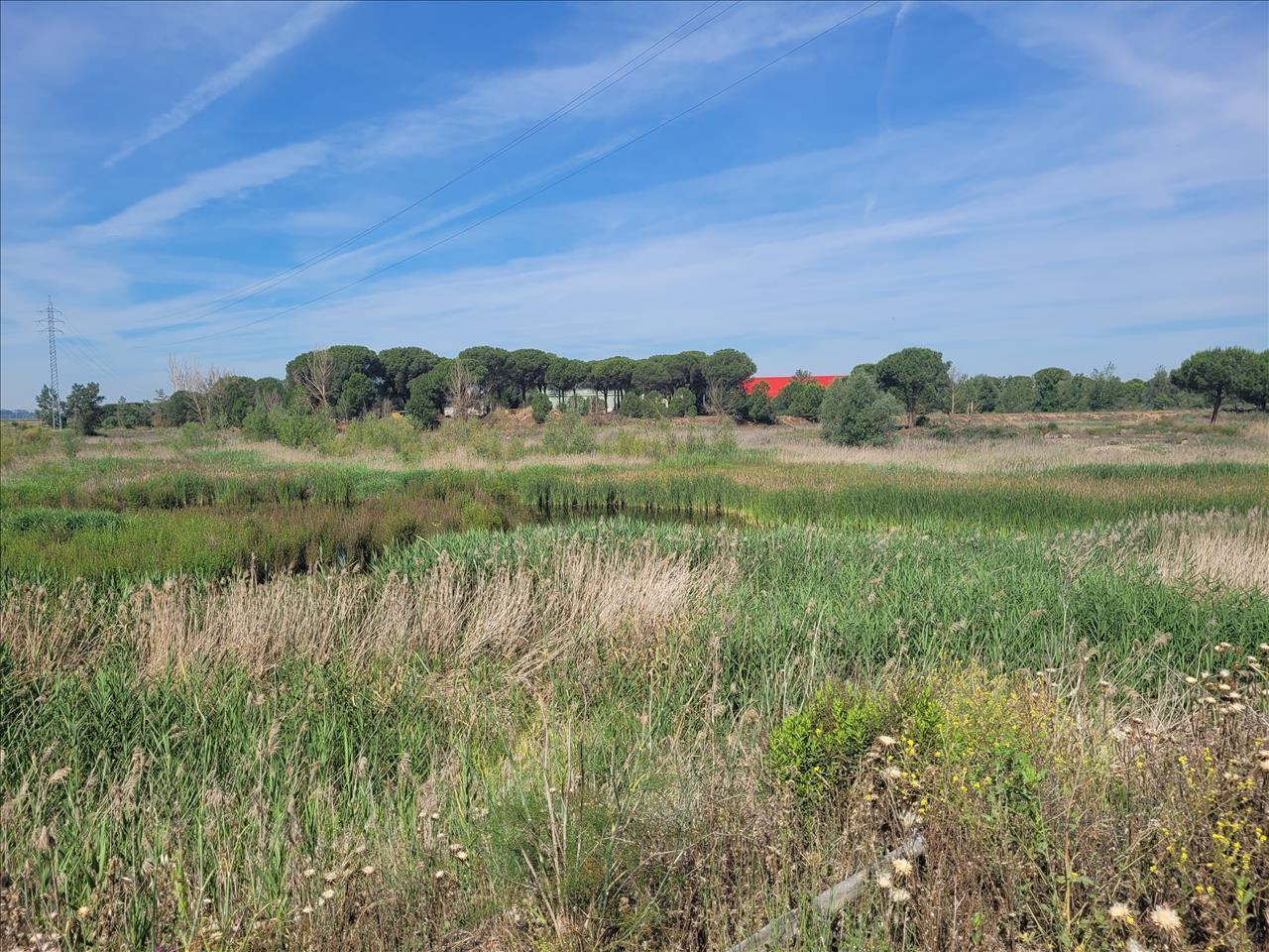 Parcela, 1, Coreses, Zamora for sale Primary Photo- Image 1 of 20