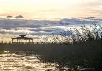 More details for 0 Marsh Hen Rd NE, Townsend, GA - Land for Sale