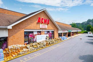 Plus de détails pour 3907-3957 Lincoln Hwy, Downingtown, PA - Commerce de détail à louer