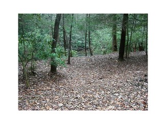 More details for 0 Richardson Rd, Winston, GA - Land for Sale