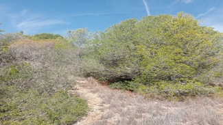 More details for Land for Sale