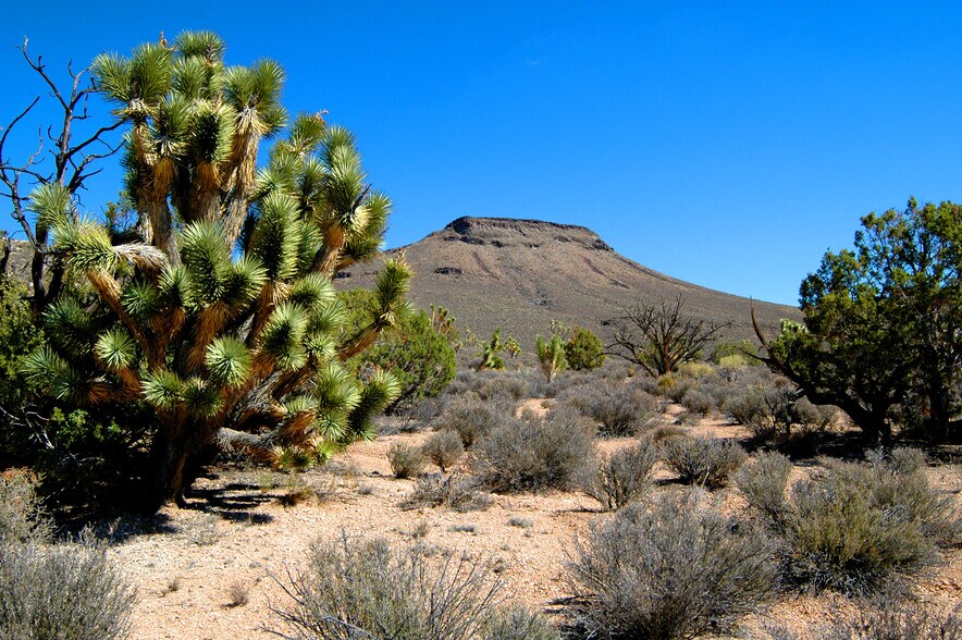 5838 E Diamond Bar Rd, Meadview, AZ à vendre - Autre - Image 3 de 5