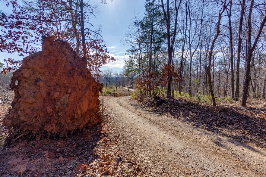 170 Sperin Cabinet Rd, Ball Ground, GA à vendre - Photo du bâtiment - Image 2 de 16