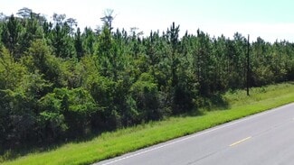 More details for E/S of Pearson Highway at Cowart Road, Homerville, GA - Land for Sale