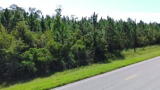 Plus de détails pour E/S of Pearson Highway at Cowart Road, Homerville, GA - Terrain à vendre