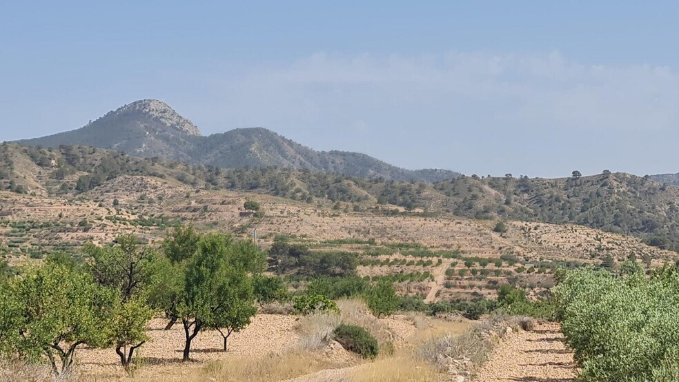Terrain dans Abanilla, Murcia à vendre - Aérien - Image 3 de 8