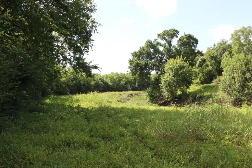 Highway 35, Danbury, TX for sale - Primary Photo - Image 1 of 1