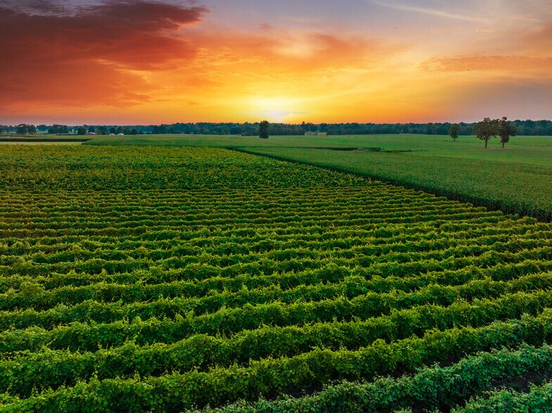 27058 Mount Pleasant Rd, Columbus, NJ à vendre - Photo du bâtiment - Image 3 de 106