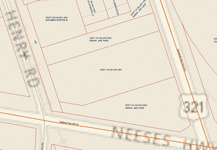 6456 Savannah Hwy, Neeses, SC à vendre - Plan cadastral - Image 1 de 1