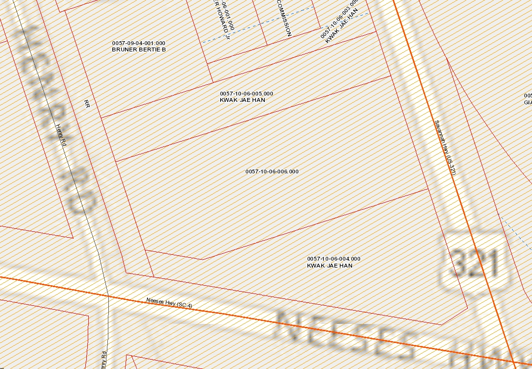 6456 Savannah Hwy, Neeses, SC à vendre Plan cadastral- Image 1 de 1