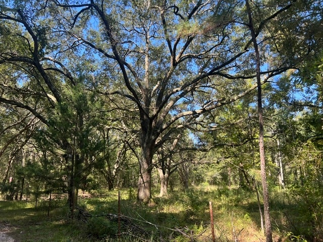 122 Carl W Ln, Greensburg, LA à vendre - Aérien - Image 3 de 3