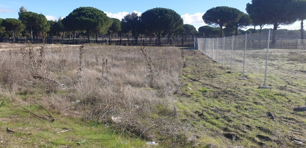 Land in Aldeamayor de San Martín, Valladolid for sale - Primary Photo - Image 2 of 25