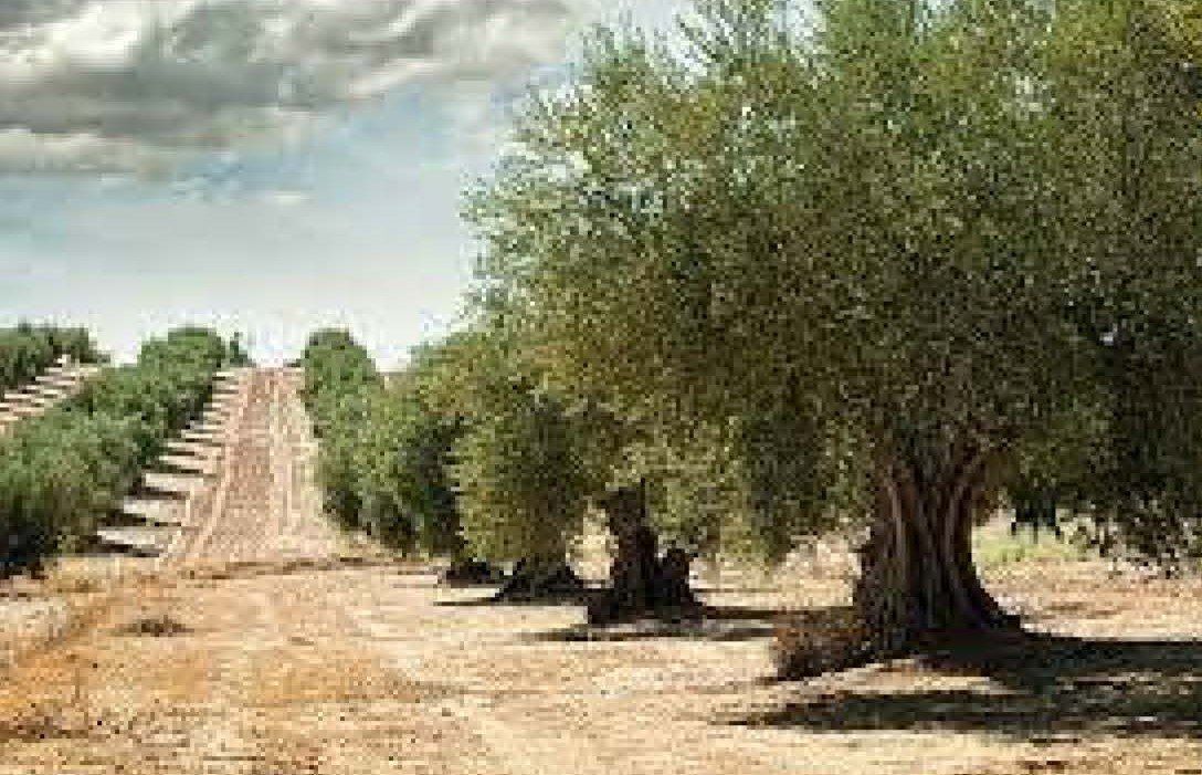Carrer del Mar, Rossell, Castellón à vendre Photo du bâtiment- Image 1 de 2