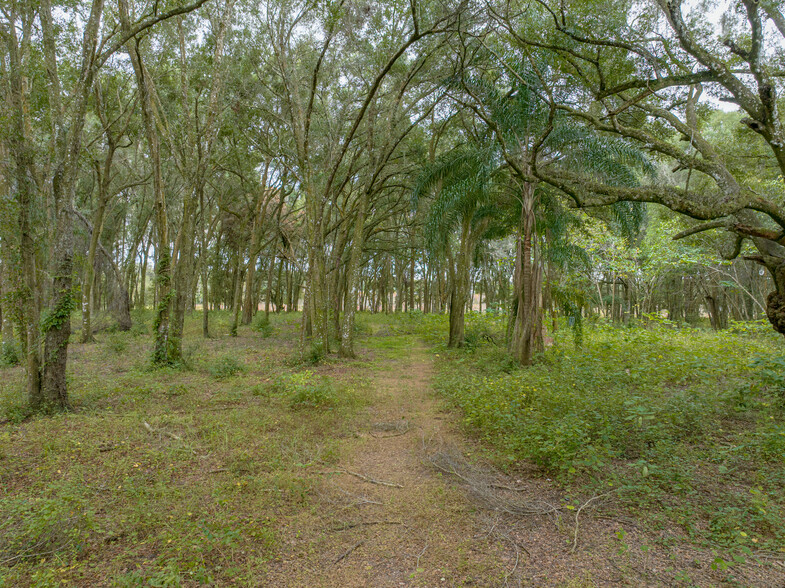 39900 River Rd, Dade City, FL for sale - Building Photo - Image 1 of 1