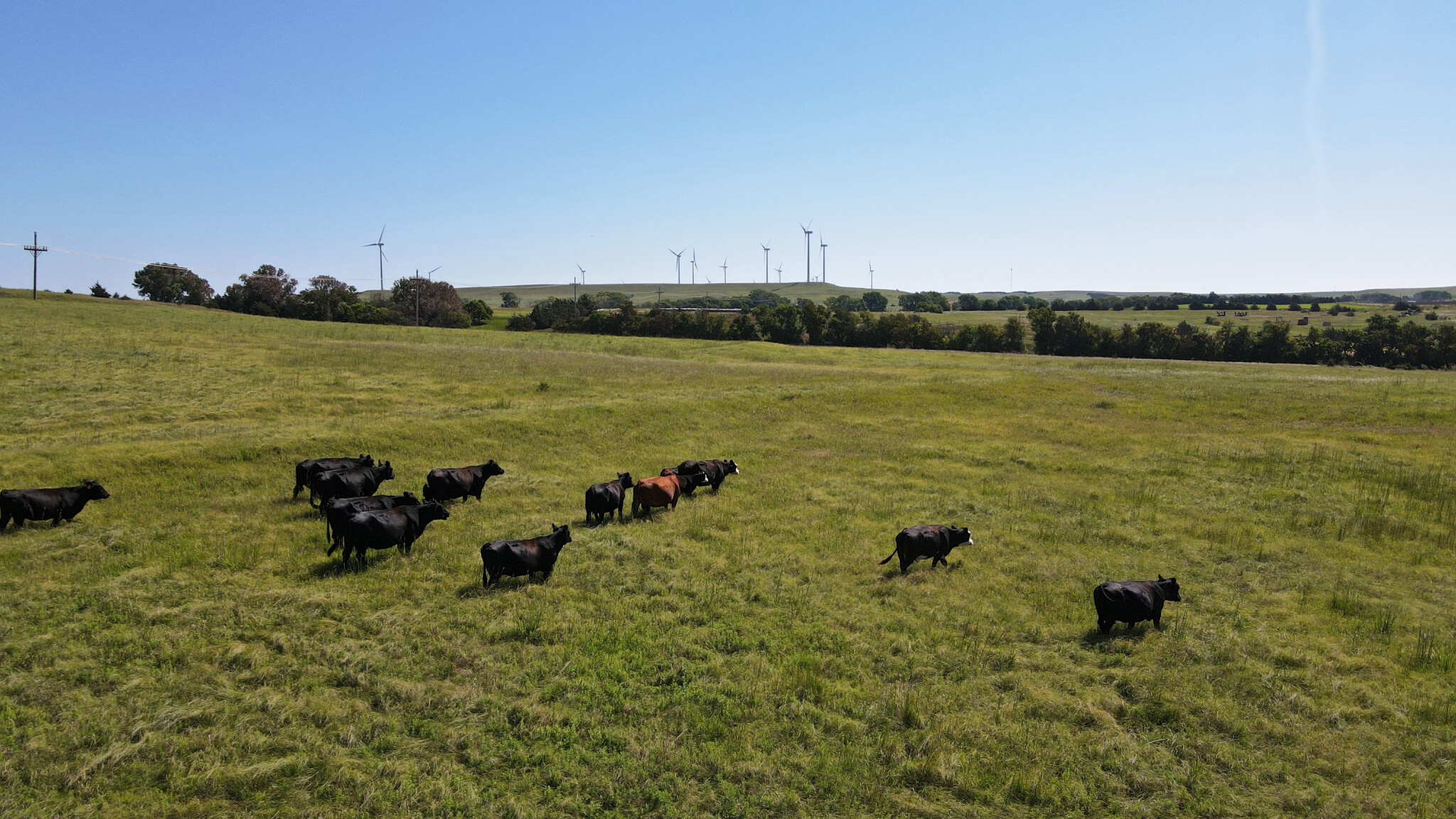 W Of Salina KS, Lincoln, KS for sale Other- Image 1 of 1