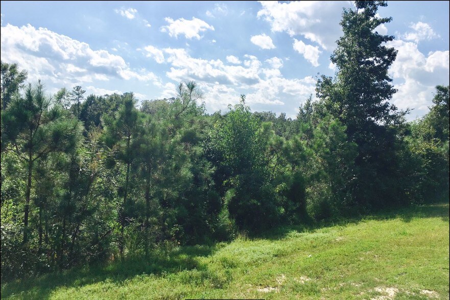 NC Hwy 24 87, Cameron, NC à vendre - Autre - Image 2 de 15