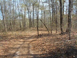 Plus de détails pour 0 Nebo Rd, Hiram, GA - Terrain à vendre