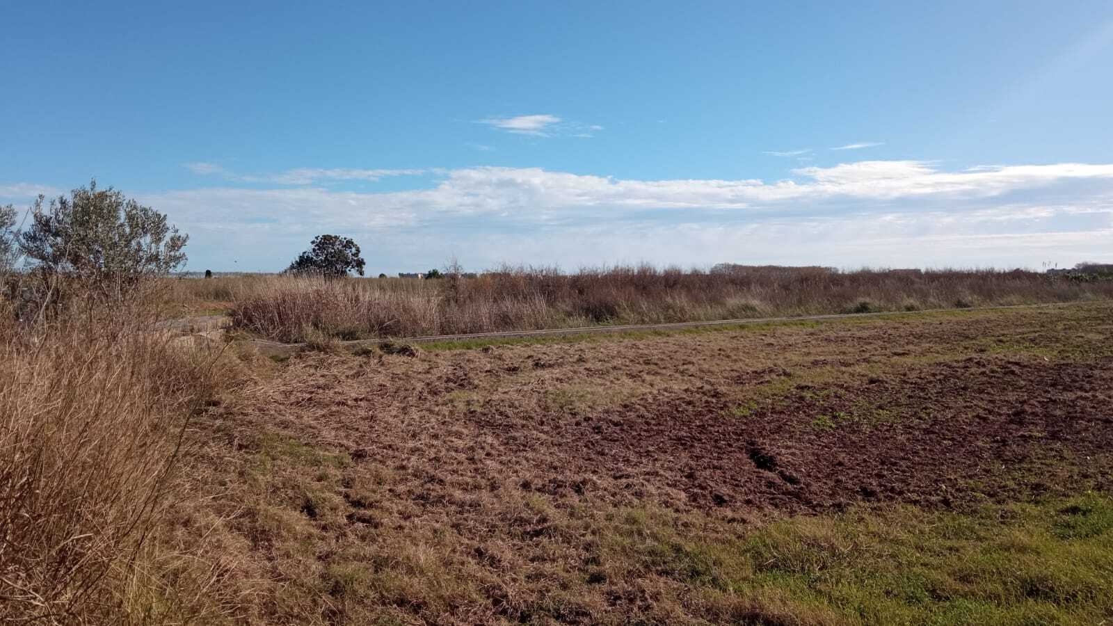 Proc. Simplificado. Polígono, 3, Chilches, Castellón à vendre Photo principale- Image 1 de 16