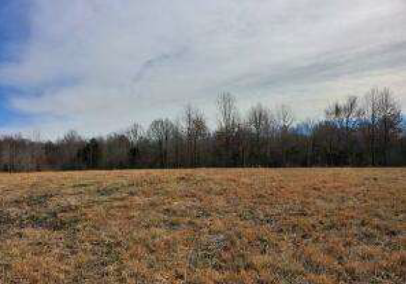 Woolfolk Road, Senatobia, MS à vendre - Photo principale - Image 1 de 2