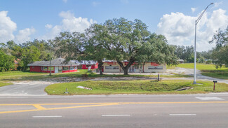 More details for 4024 Paul S Buchman Hwy, Zephyrhills, FL - Retail for Sale