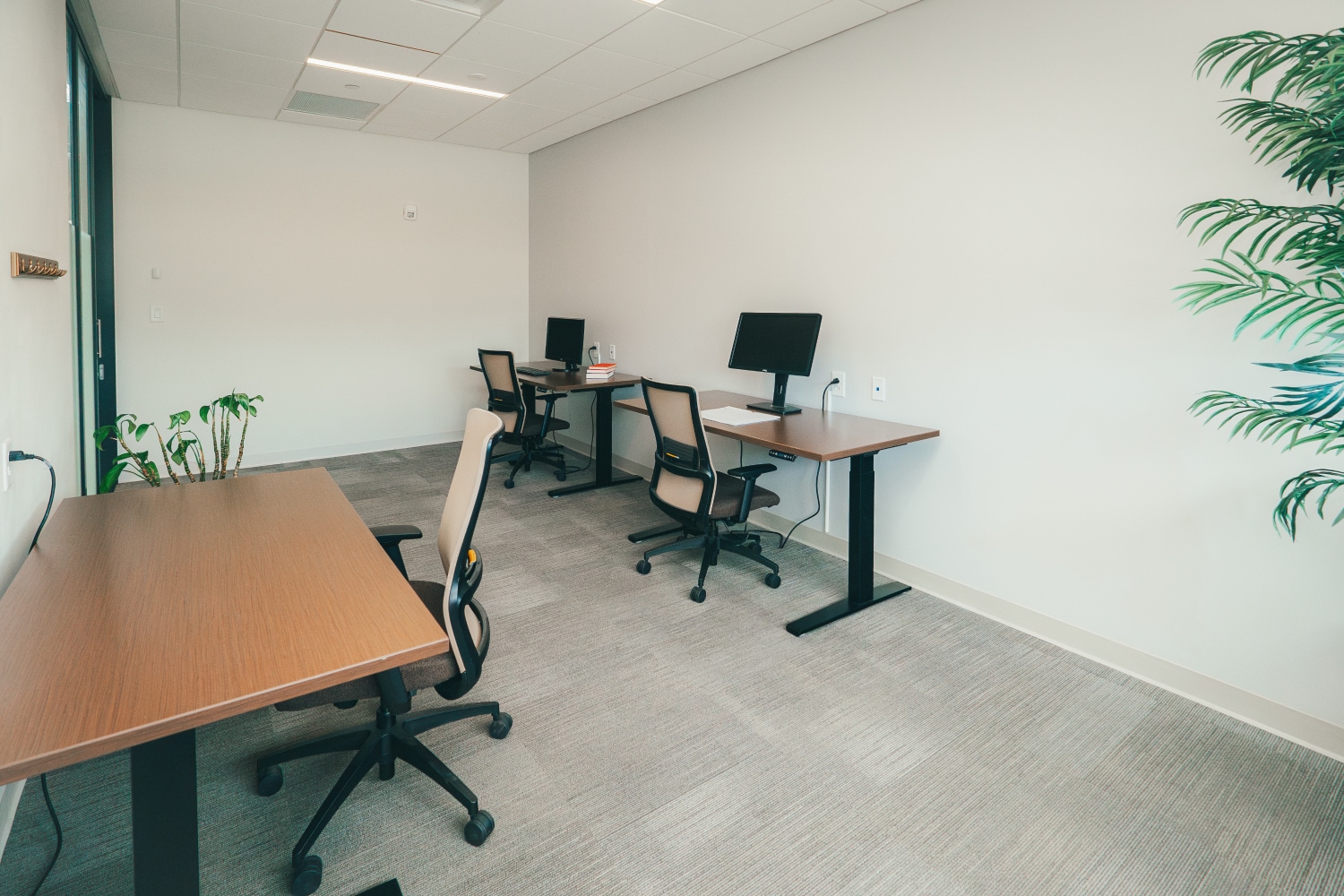 141 Traction St, Greenville, SC for lease Interior Photo- Image 1 of 1
