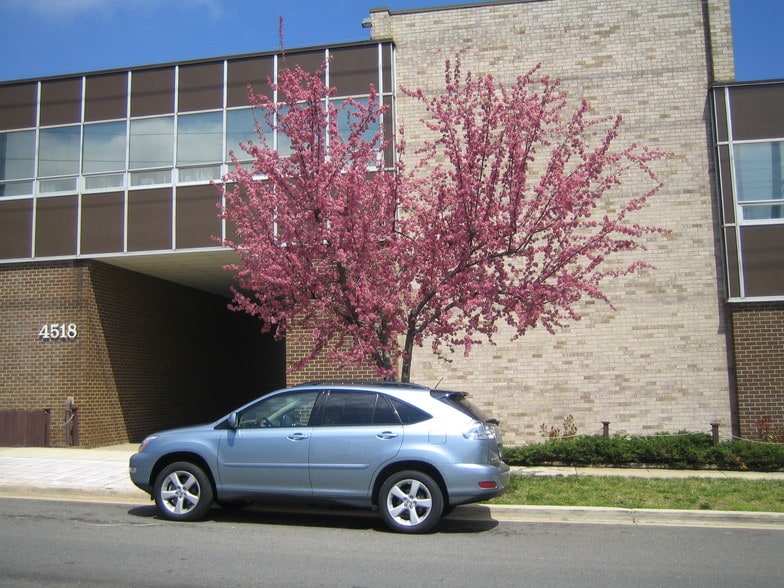 4514-4522 Beech Rd, Temple Hills, MD for lease - Building Photo - Image 2 of 6