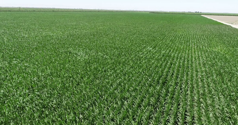 West El Nido Road Rd, El Nido, CA à vendre - Vidéo sur l’inscription commerciale - Image 3 de 8