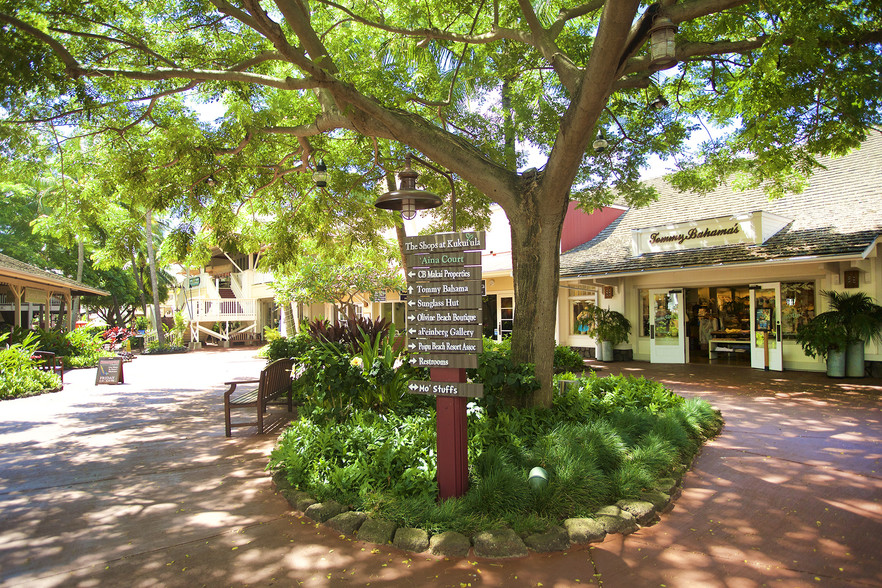 2829 Ala Kalanikaumaka St, Koloa, HI for lease - Building Photo - Image 3 of 6