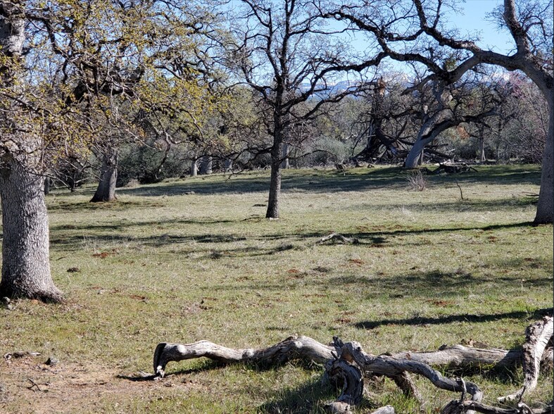 15-One NE Ranch Rd, Paynes Creek, CA à vendre - Photo du bâtiment - Image 3 de 3