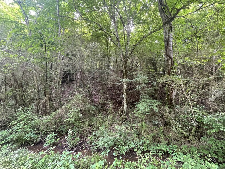 Coon Creek Road Rd, Sipsey, AL à vendre - Photo du bâtiment - Image 2 de 10