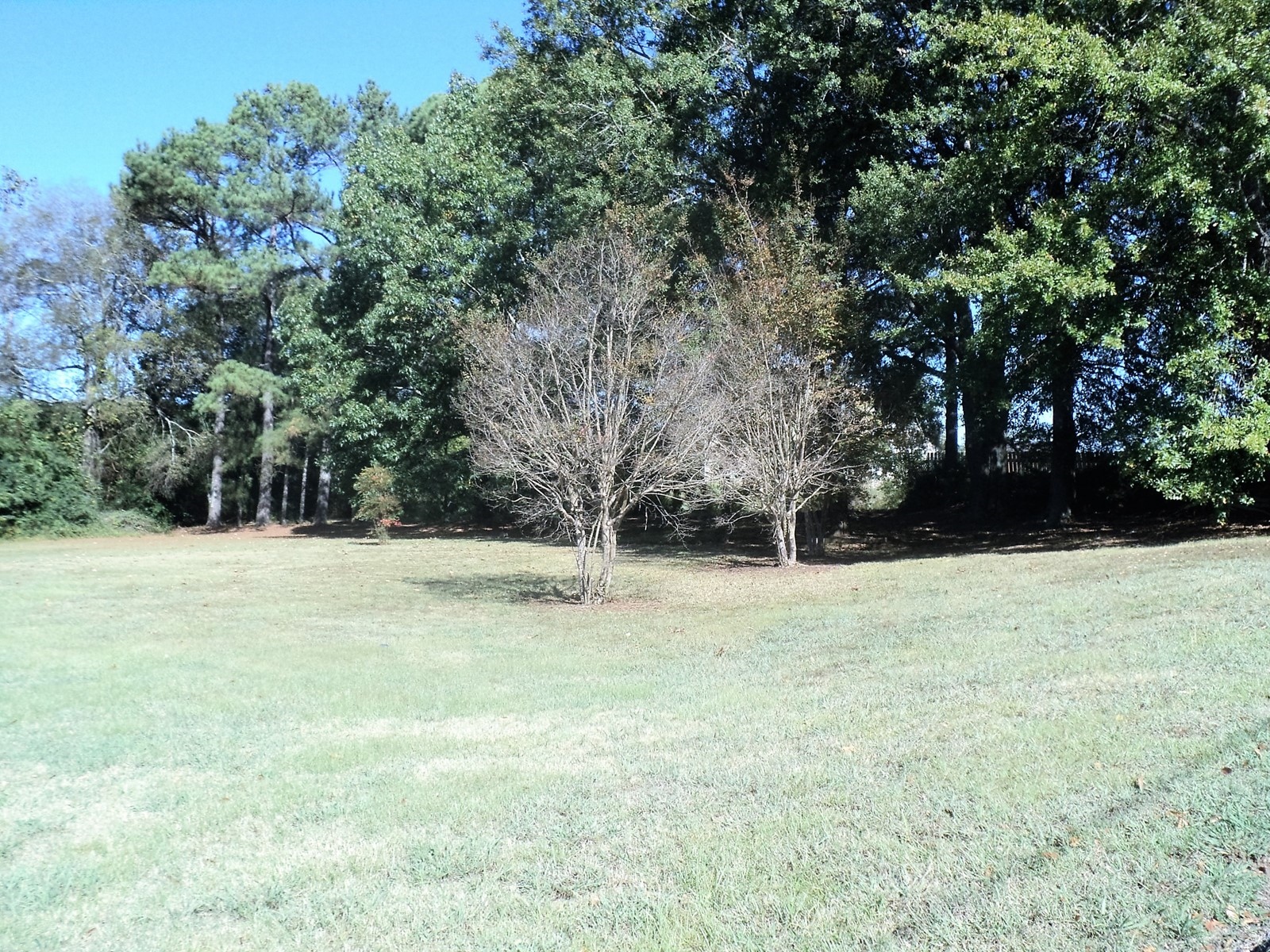 2704 McCullough Blvd, Tupelo, MS for sale Primary Photo- Image 1 of 1