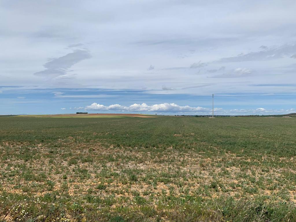 Vegas de, Fuentes de Ropel, Zamora à vendre Photo principale- Image 1 de 24