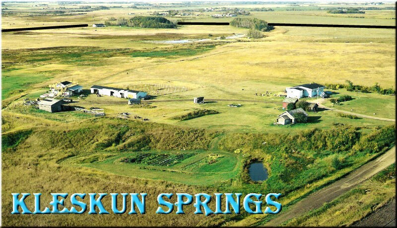 45063a-Twp Rd 734, Sexsmith, AB for sale Other- Image 1 of 1