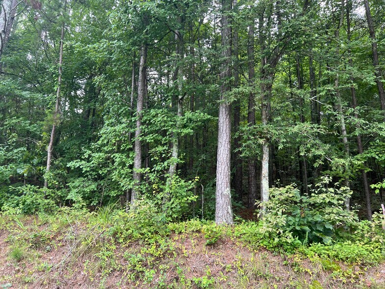 119 Kirk Rd NW, White, GA à vendre - Photo du bâtiment - Image 2 de 5
